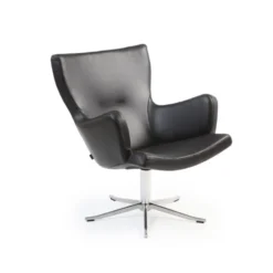 Conform Gyro-nojatuoli käsinojilla