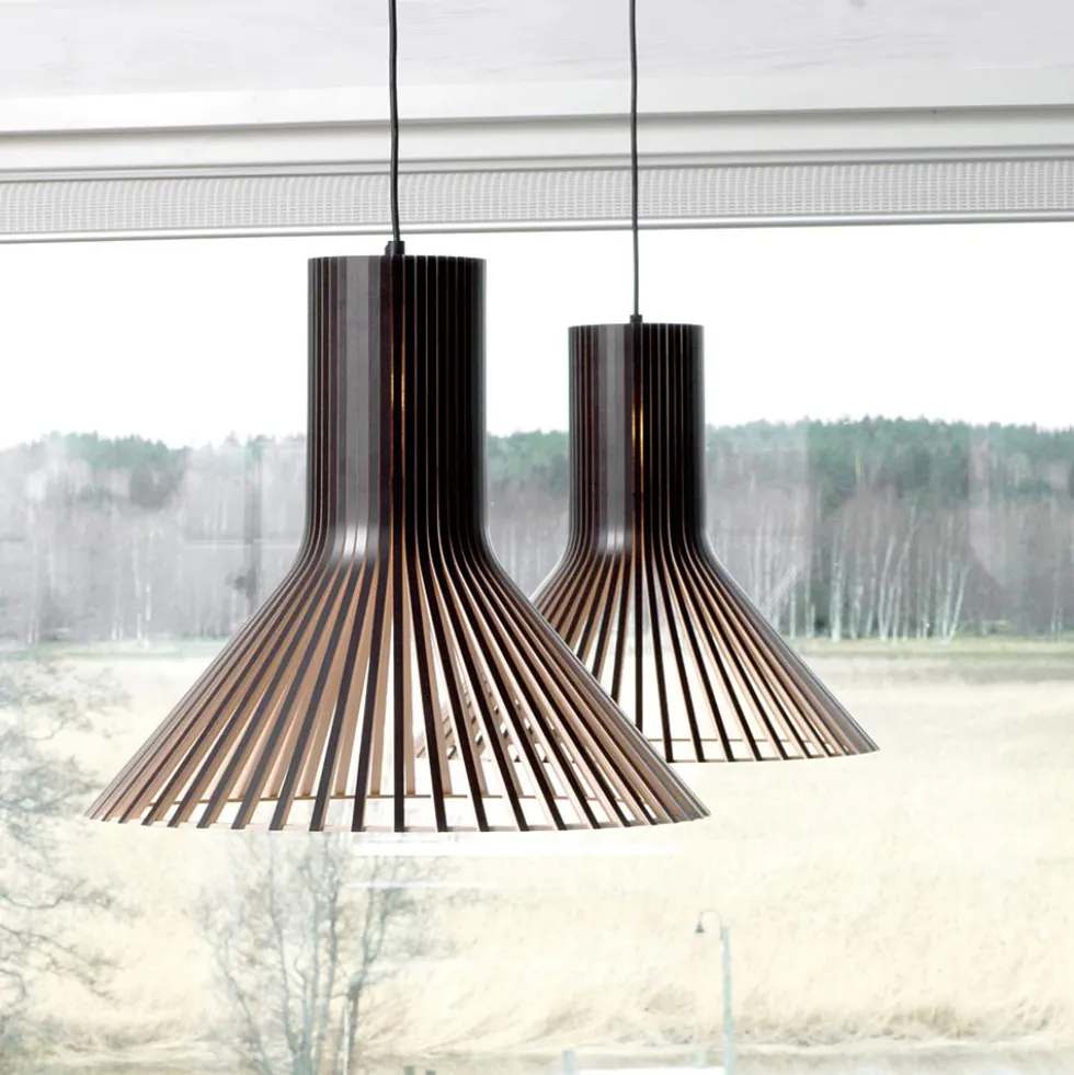Secto Design Puncto 4203 -riippuvalaisin